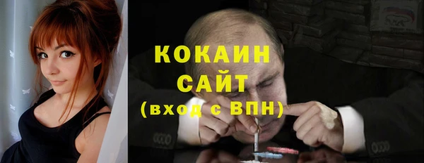 твердый Алексин